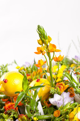 Similar image 5555944