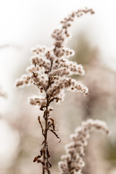 Similar image 5555953