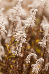 Similar image 5555954