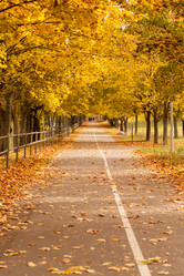 Similar image 5555955