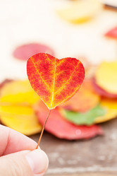 Similar image 5555962