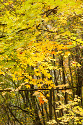 Similar image 5555970