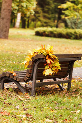 Similar image 5555972