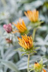 Similar image 5555989