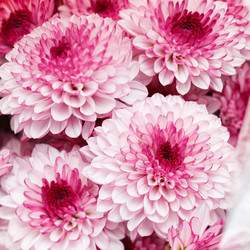 Similar image 5555993