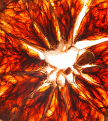 Similar image 5555995