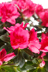 Similar image 5555998