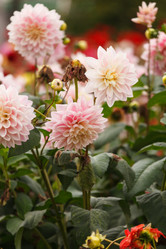 Similar image 5556001