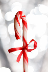 Similar image 5556002