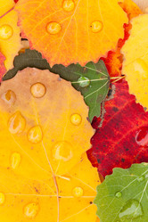 Similar image 5556006