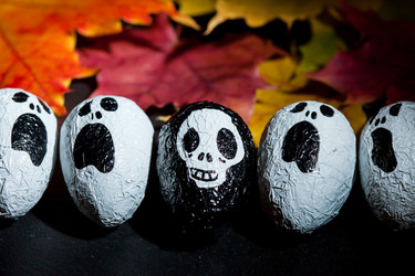 Similar image 5556020