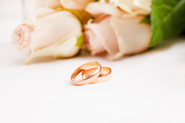 Similar image 5556026