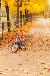 Similar image 5556030