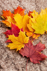 Similar image 5556031