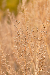 Similar image 5556037