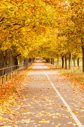 Similar image 5556038