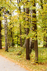 Similar image 5556041