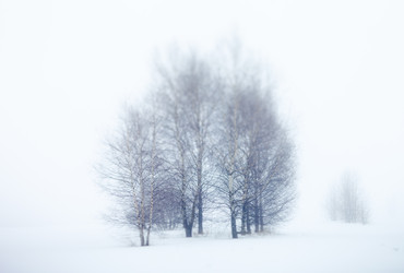 Similar image 5556057