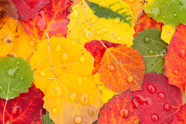 Similar image 5556059