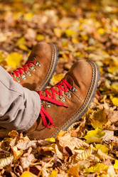 Similar image 5556061