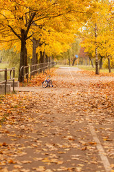 Similar image 5556064