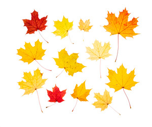 Similar image 5556073