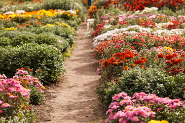 Similar image 5556081