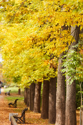 Similar image 5556083