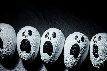 Similar image 5556122