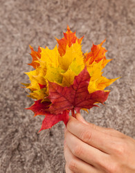 Similar image 5556124