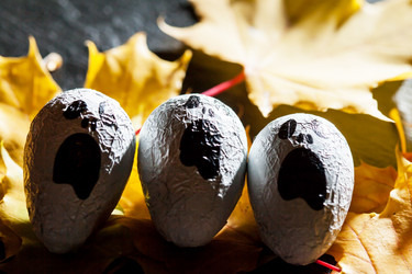 Similar image 5556129