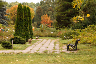 Similar image 5556191