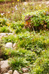 Similar image 5556203