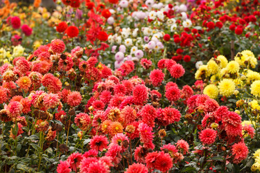 Similar image 5556205