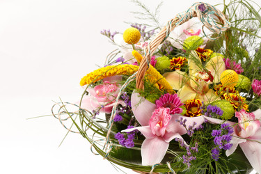 Similar image 5556216