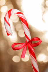 Similar image 5556220