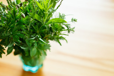 Similar image 5556224