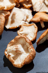 Similar image 5556239