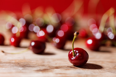 Similar image 5556240