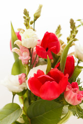 Similar image 5556247