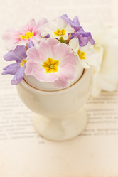 Similar image 5556248