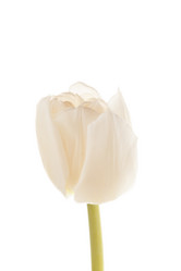 Similar image 5556250