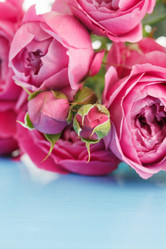 Similar image 5556256