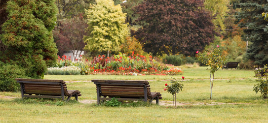 Similar image 5556272