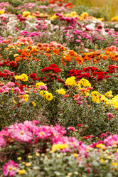 Similar image 5556279