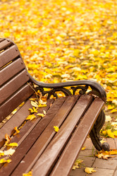 Similar image 5556287