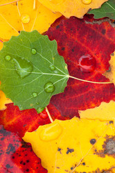 Similar image 5556290