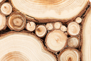 Similar image 5556316