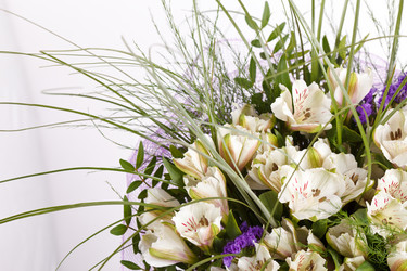 Similar image 5556329