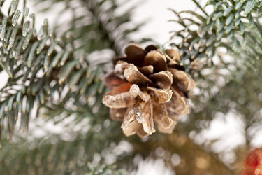 Similar image 5556335